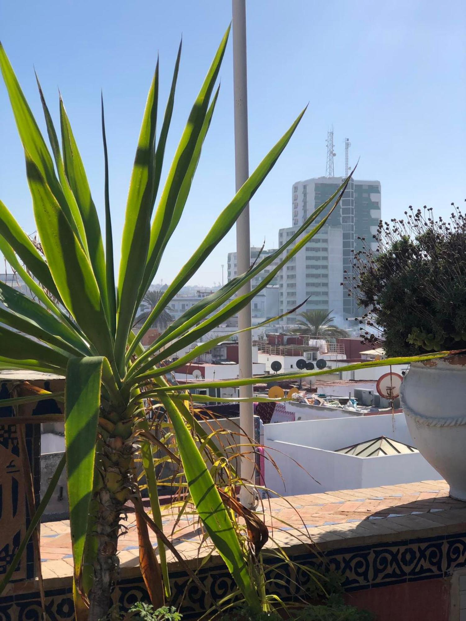 Riad Razoli Sidi Fateh Rabat Exteriör bild