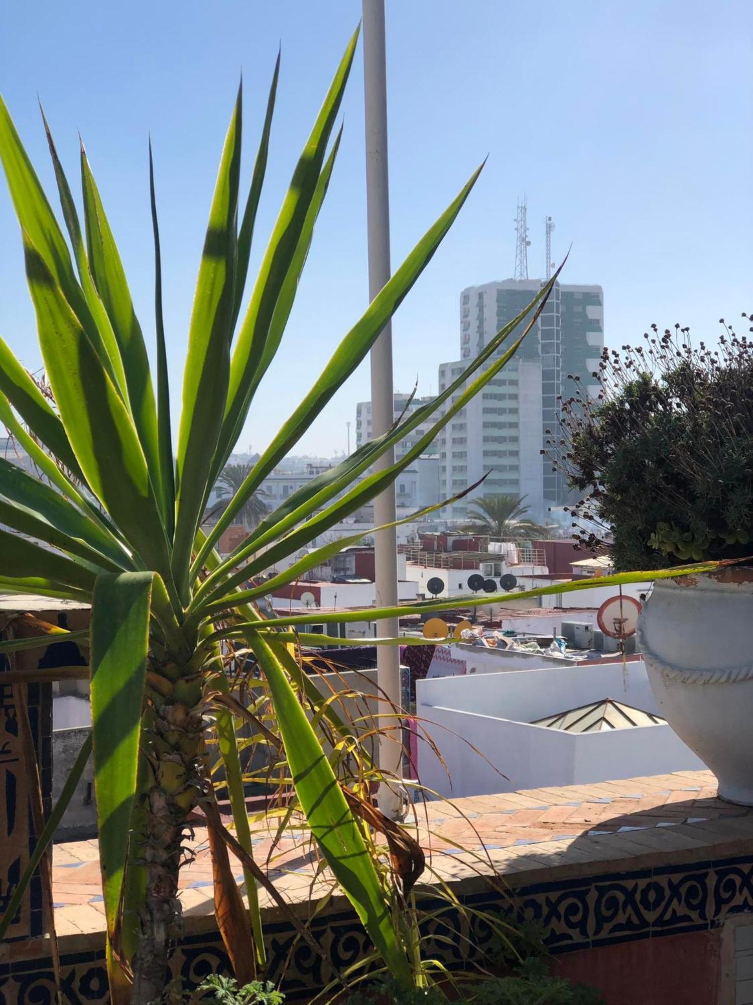 Riad Razoli Sidi Fateh Rabat Exteriör bild